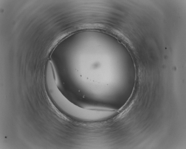 X0000076381033200610271523