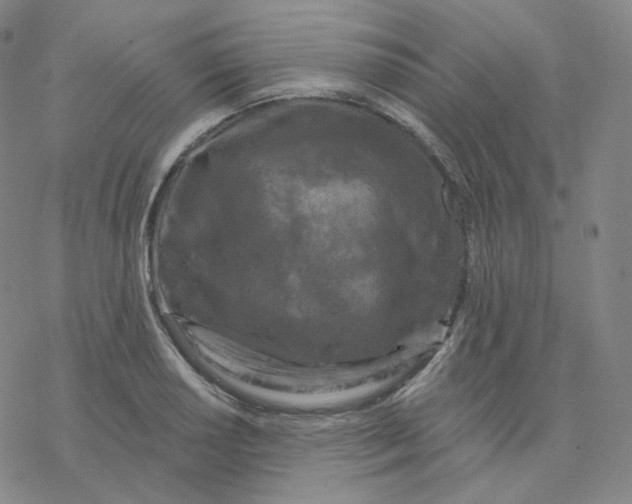 X0000076381034200610271523