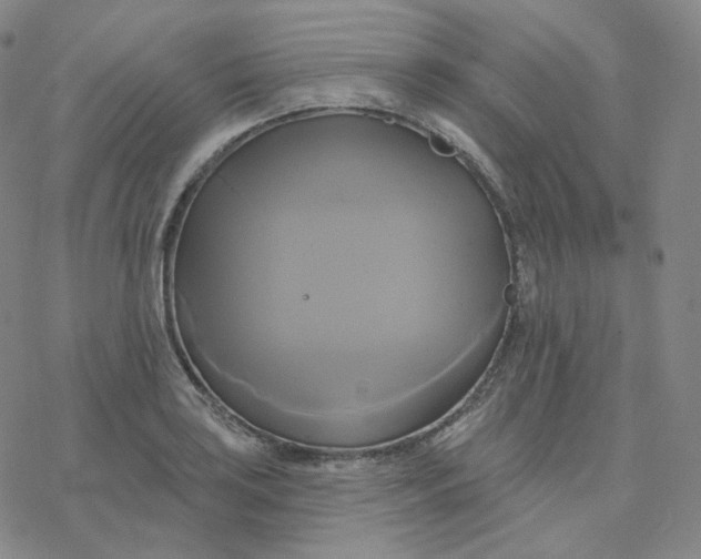 X0000076381035200610271523