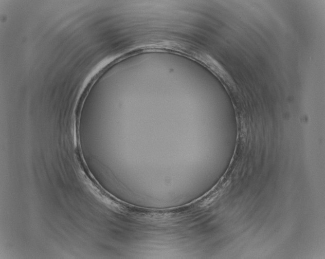 X0000076381036200610271523