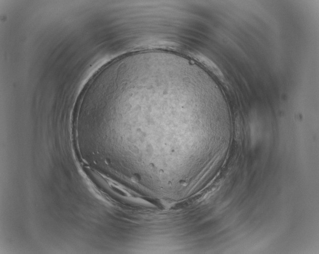 X0000076381039200610271523