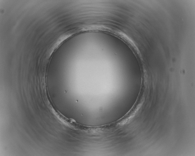 X0000076381041200610271523