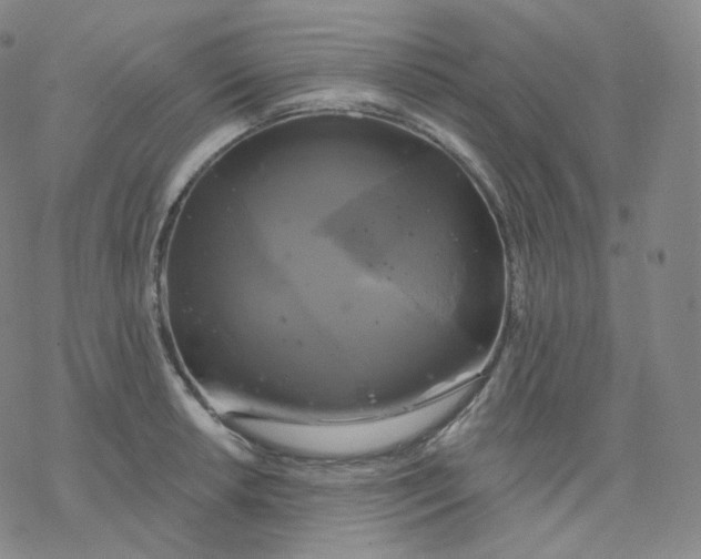 X0000076381042200610271523