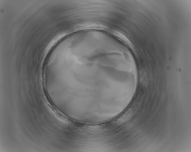 X0000076381043200610271523