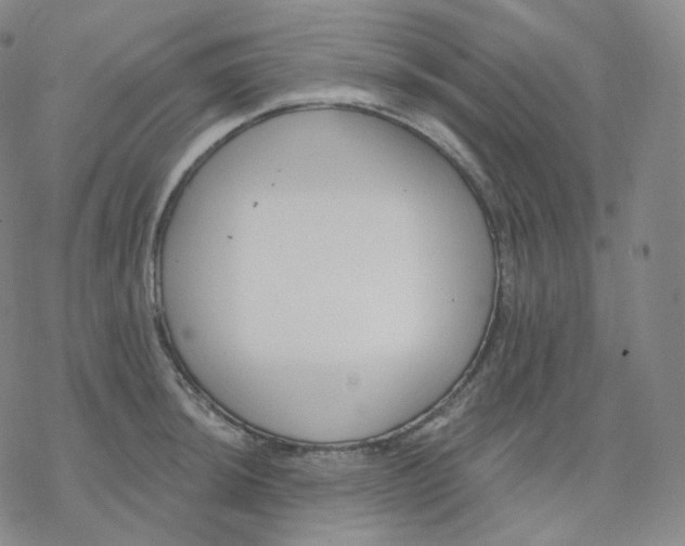 X0000076381044200610271523