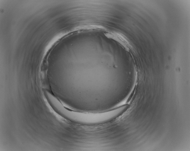 X0000076381046200610271523