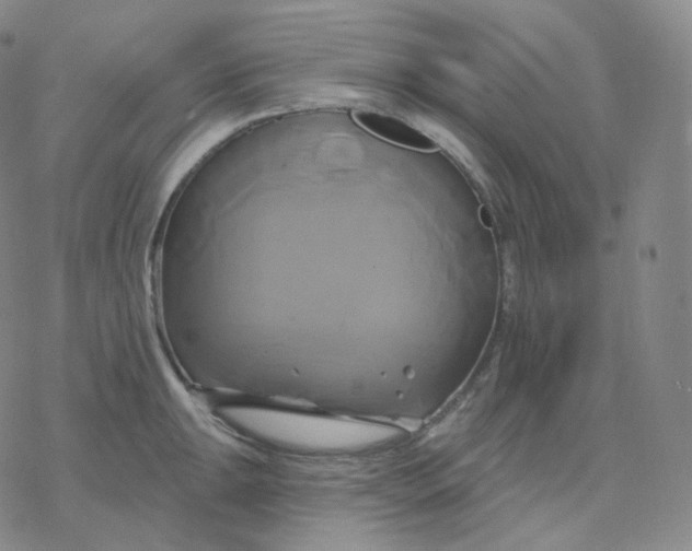 X0000076381047200610271523