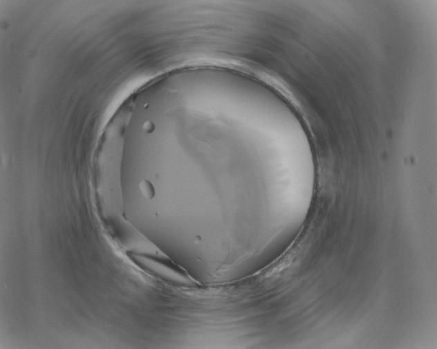 X0000076381048200610271523