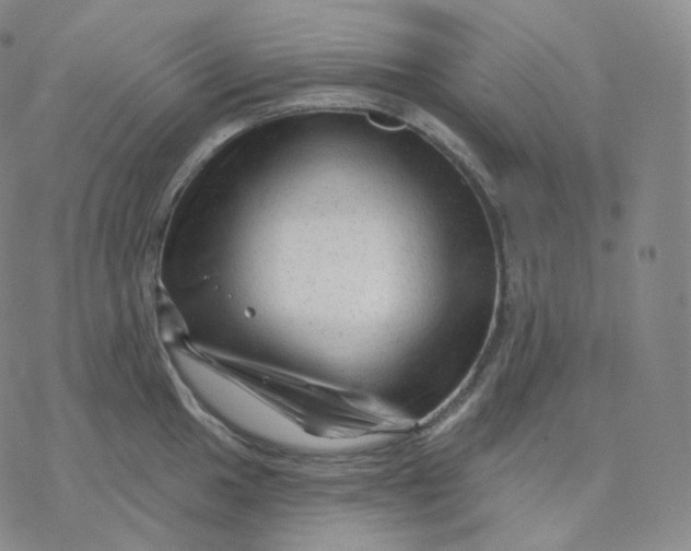 X0000076381049200610271523