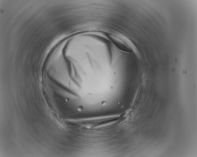 X0000076381051200610271523