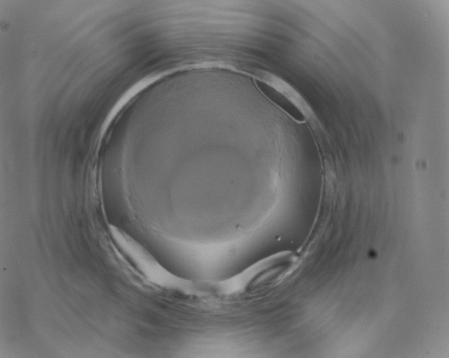 X0000076381052200610271523