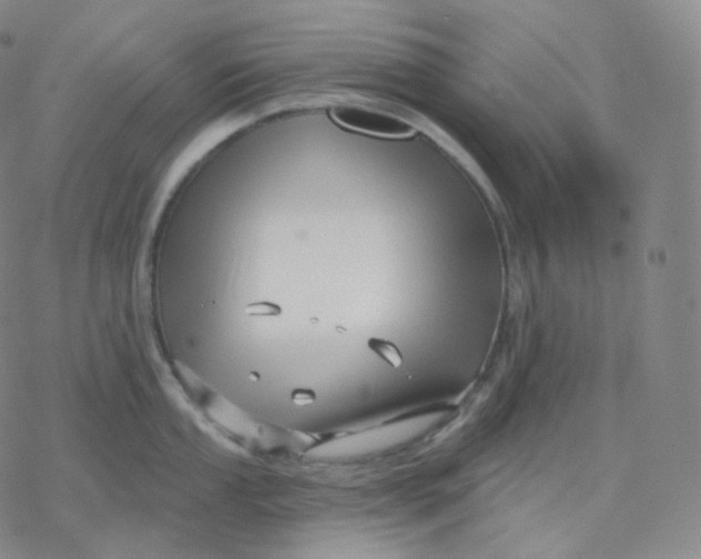 X0000076381053200610271523