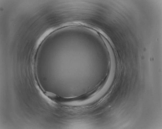 X0000076381054200610271523