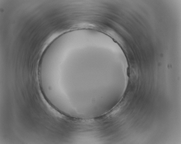 X0000076381055200610271523