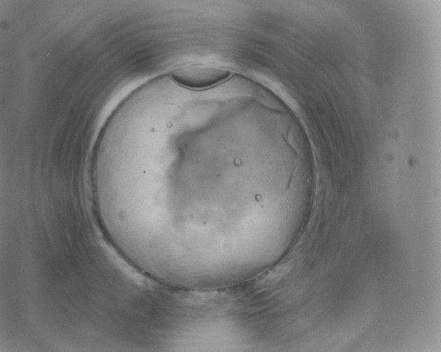 X0000076381056200610271523