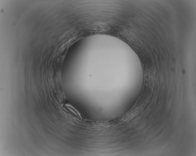 X0000076381058200610271522