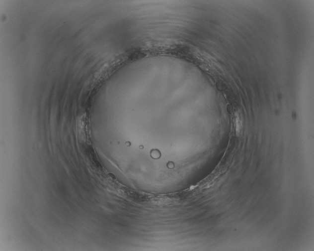 X0000076381059200610271522