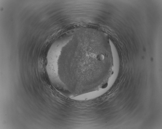 X0000076381060200610271522