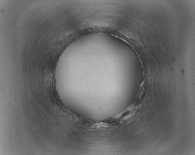 X0000076381061200610271522