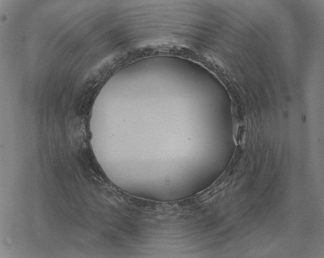 X0000076381062200610271522