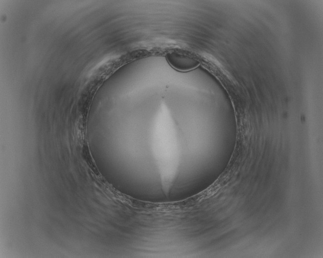 X0000076381063200610271522