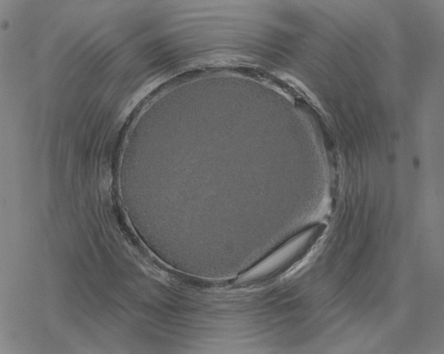 X0000076381065200610271522