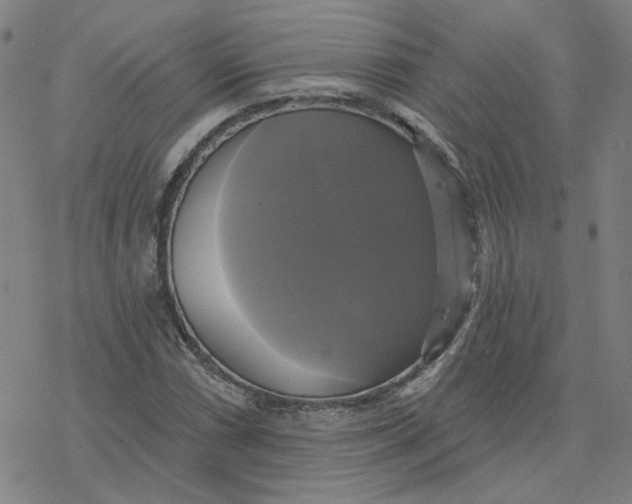 X0000076381066200610271522