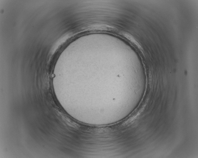 X0000076381067200610271522