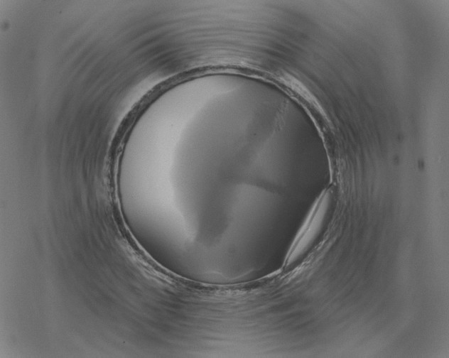 X0000076381068200610271522