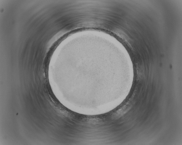 X0000076381070200610271522