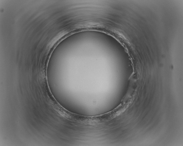 X0000076381073200610271522