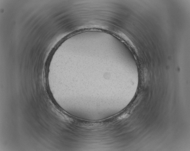 X0000076381076200610271522