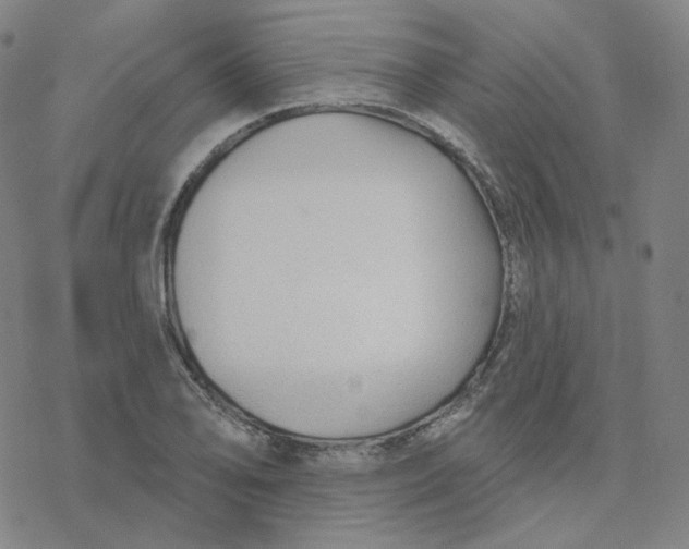 X0000076381078200610271522