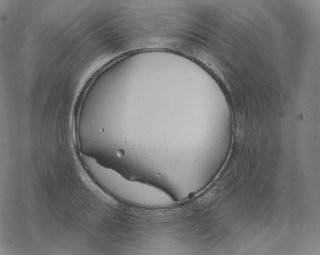 X0000076381080200610271522