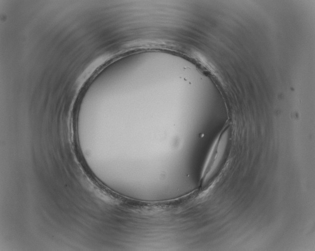 X0000076381082200610271522