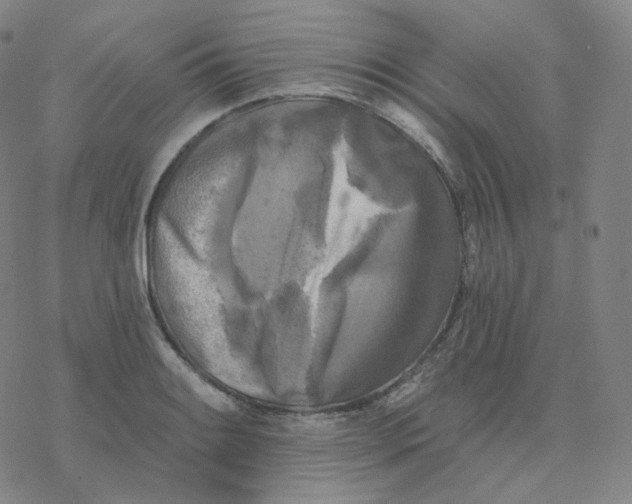 X0000076381084200610271522