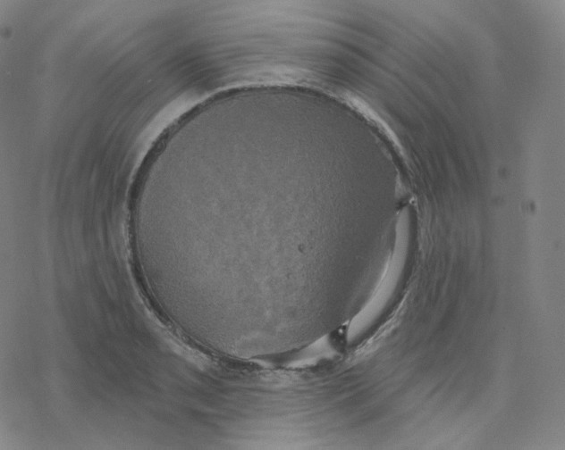 X0000076381085200610271522