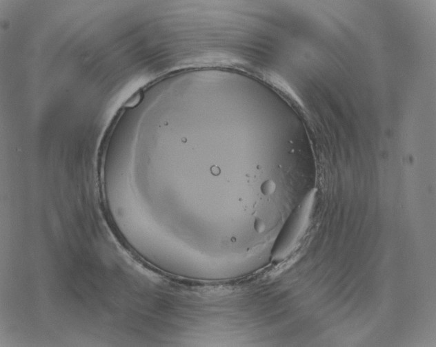 X0000076381087200610271522