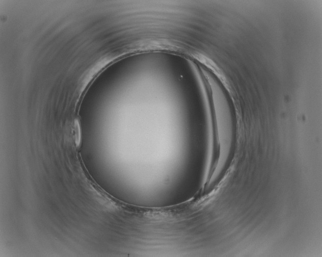 X0000076381089200610271522