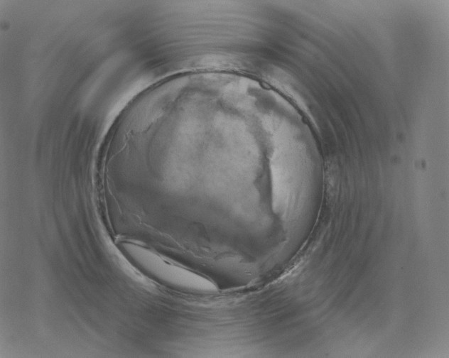 X0000076381091200610271522