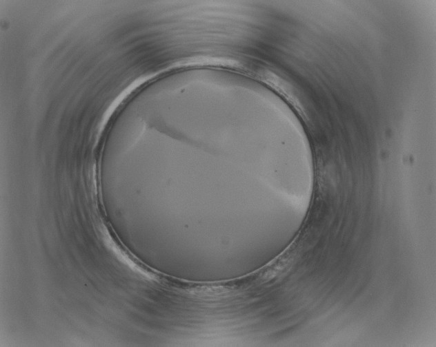 X0000076381092200610271522