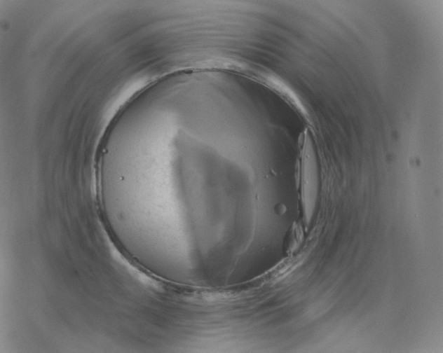 X0000076381095200610271522