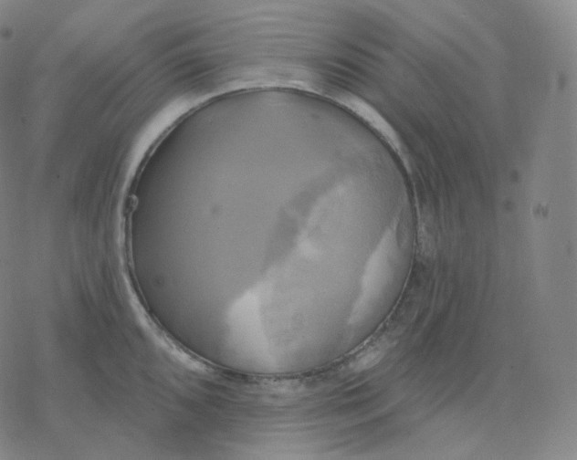 X0000076381096200610271522