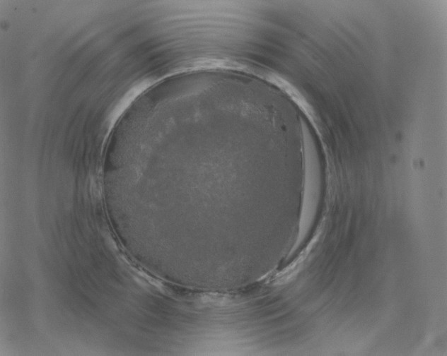 X0000076381097200610271522