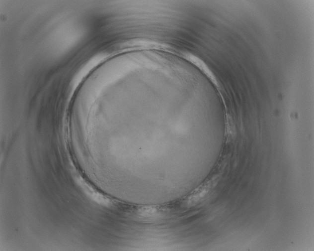 X0000076381098200610271522