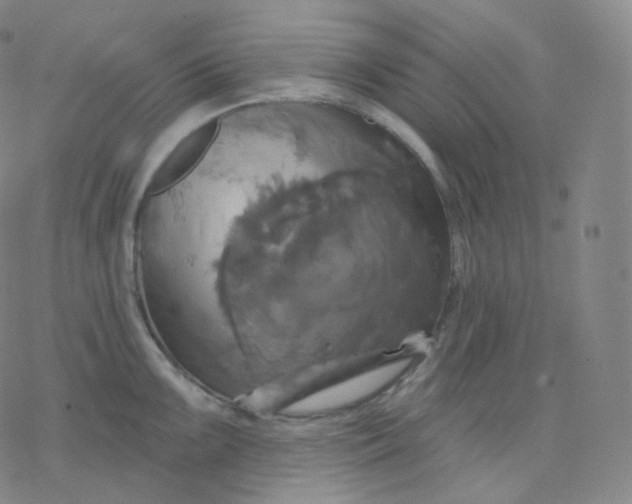 X0000076381099200610271522