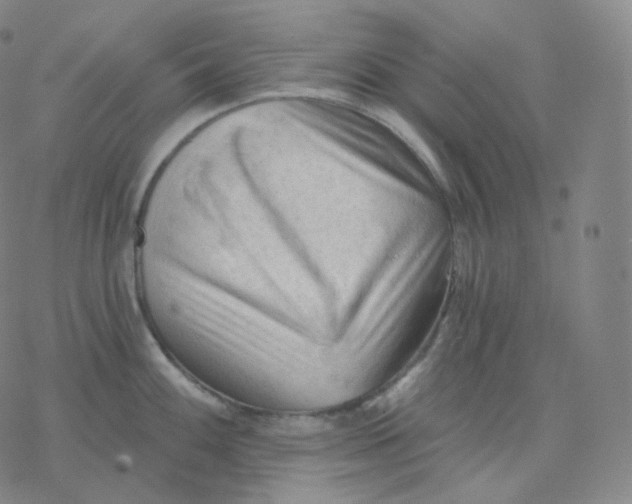 X0000076381100200610271522