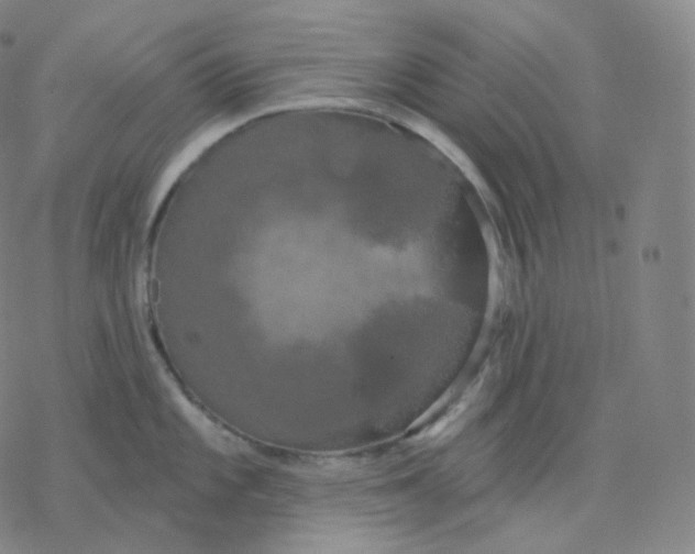 X0000076381101200610271522