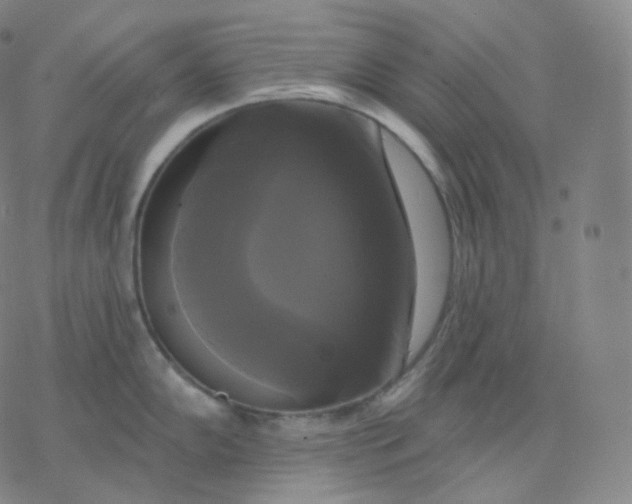 X0000076381102200610271521