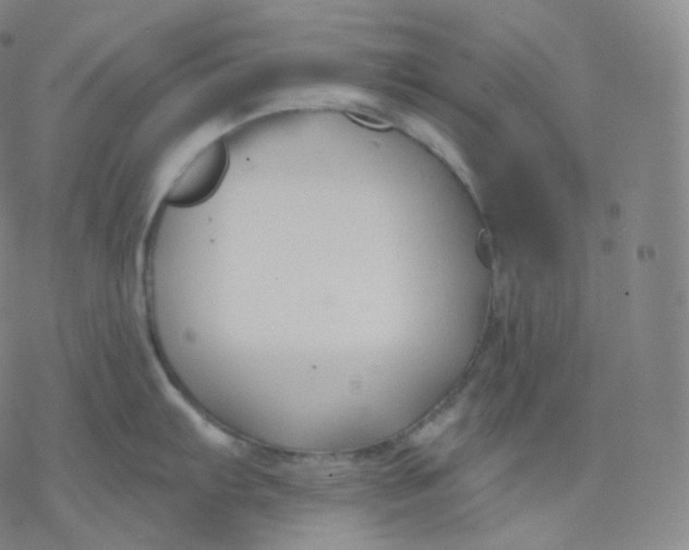 X0000076381103200610271521